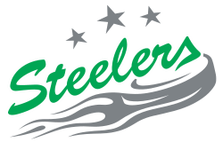 Bietigheim Steelers